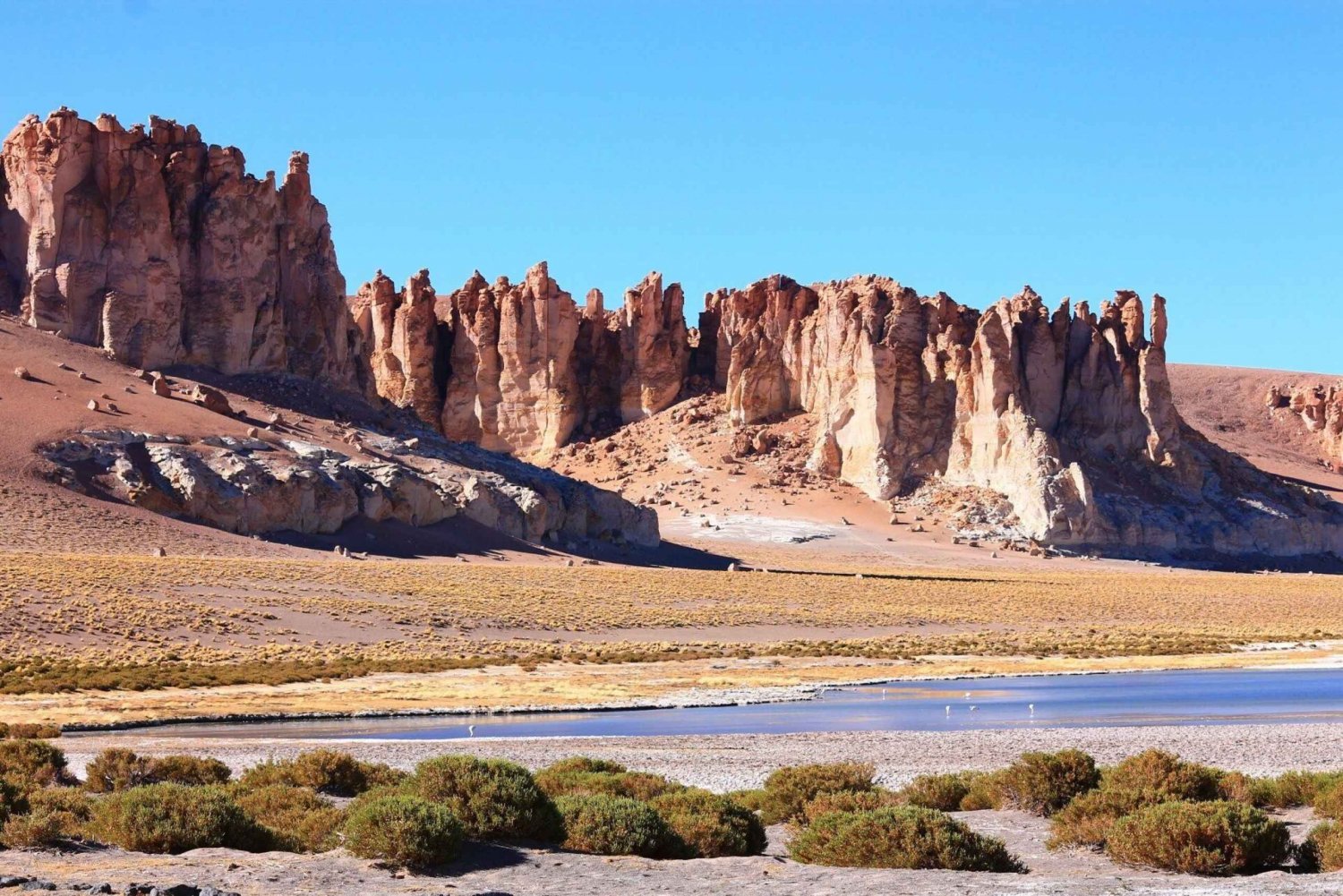 Explore The Atacama Desert and The Valley of Moon on a bike