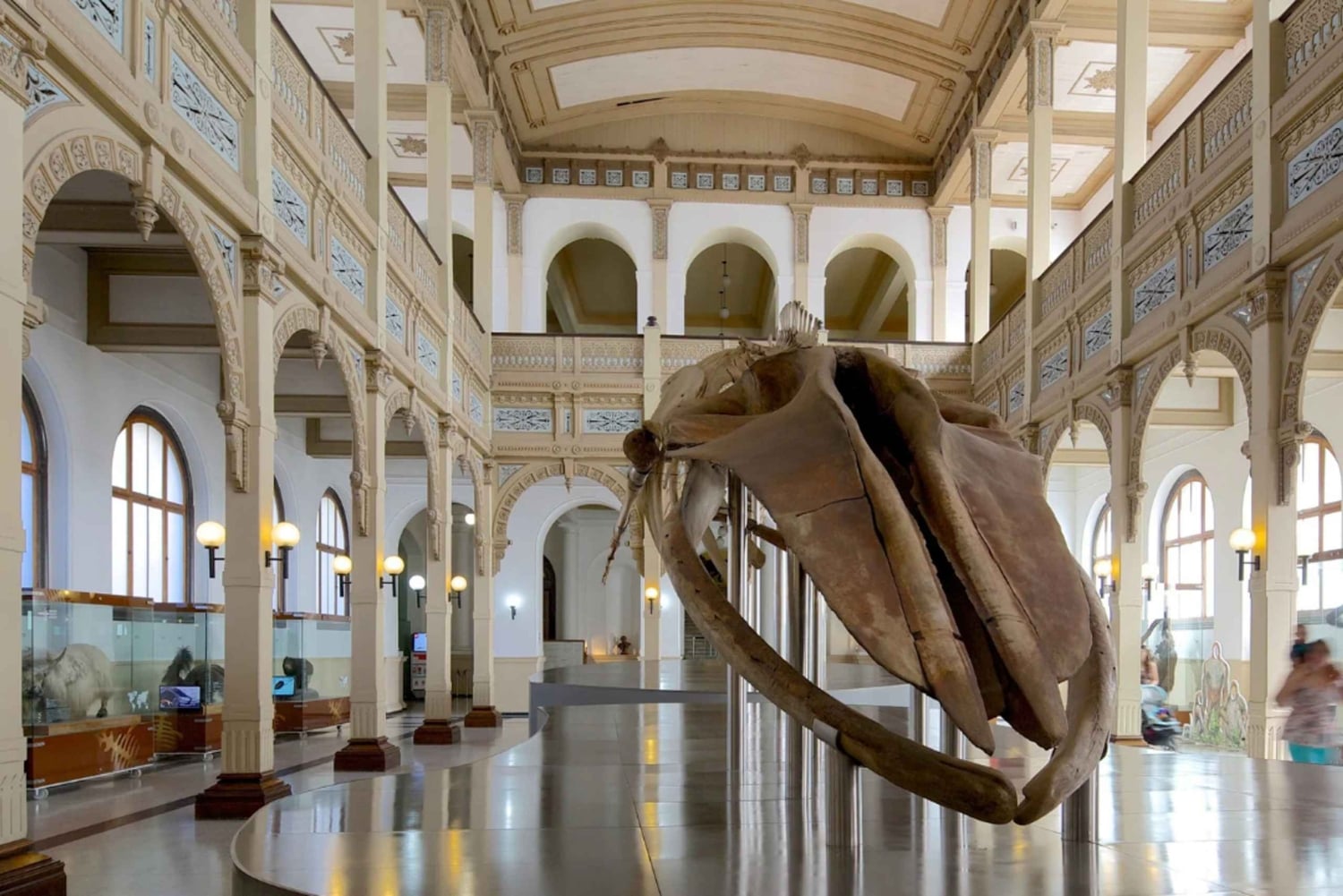 Rodzinna wycieczka po Santiago: park Quinta Normal i muzea