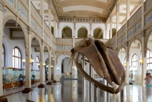 Rodzinna wycieczka po Santiago: park Quinta Normal i muzea