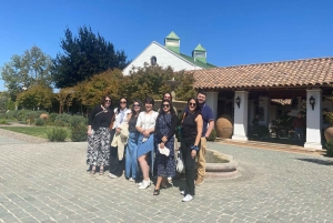 Farellones et vallée de Casablanca : visite privée de la montagne et des vins premium