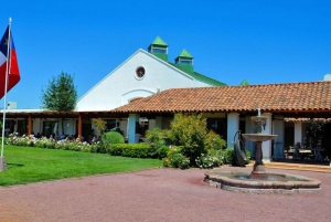 Farellones et vallée de Casablanca : visite privée de la montagne et des vins premium