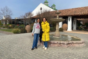 Farellones et vallée de Casablanca : visite privée de la montagne et des vins premium