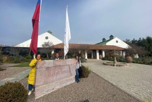 Farellones et vallée de Casablanca : visite privée de la montagne et des vins premium