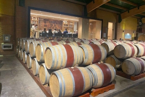 Farellones et vallée de Casablanca : visite privée de la montagne et des vins premium