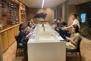 Farellones et vallée de Casablanca : visite privée de la montagne et des vins premium