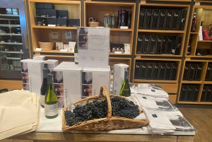 Farellones et vallée de Casablanca : visite privée de la montagne et des vins premium