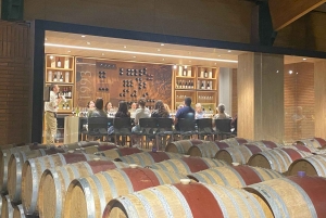 Farellones et vallée de Casablanca : visite privée de la montagne et des vins premium