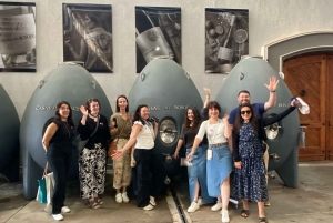 Farellones et vallée de Casablanca : visite privée de la montagne et des vins premium