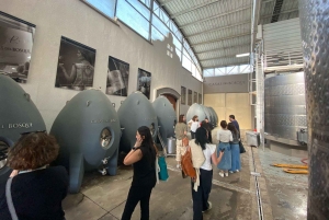 Farellones et vallée de Casablanca : visite privée de la montagne et des vins premium