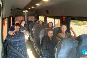 Farellones et vallée de Casablanca : visite privée de la montagne et des vins premium