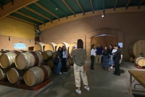 Farellones et vallée de Casablanca : visite privée de la montagne et des vins premium