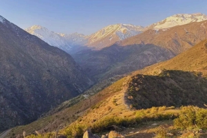 Farellones et vallée de Casablanca : visite privée de la montagne et des vins premium