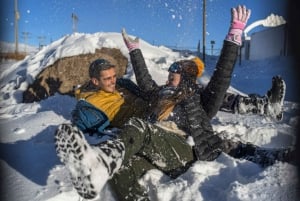 Farellones Park Tour: Sneeuw Avonturen