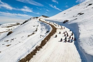 Visite du parc des Farellones : Aventures de neige