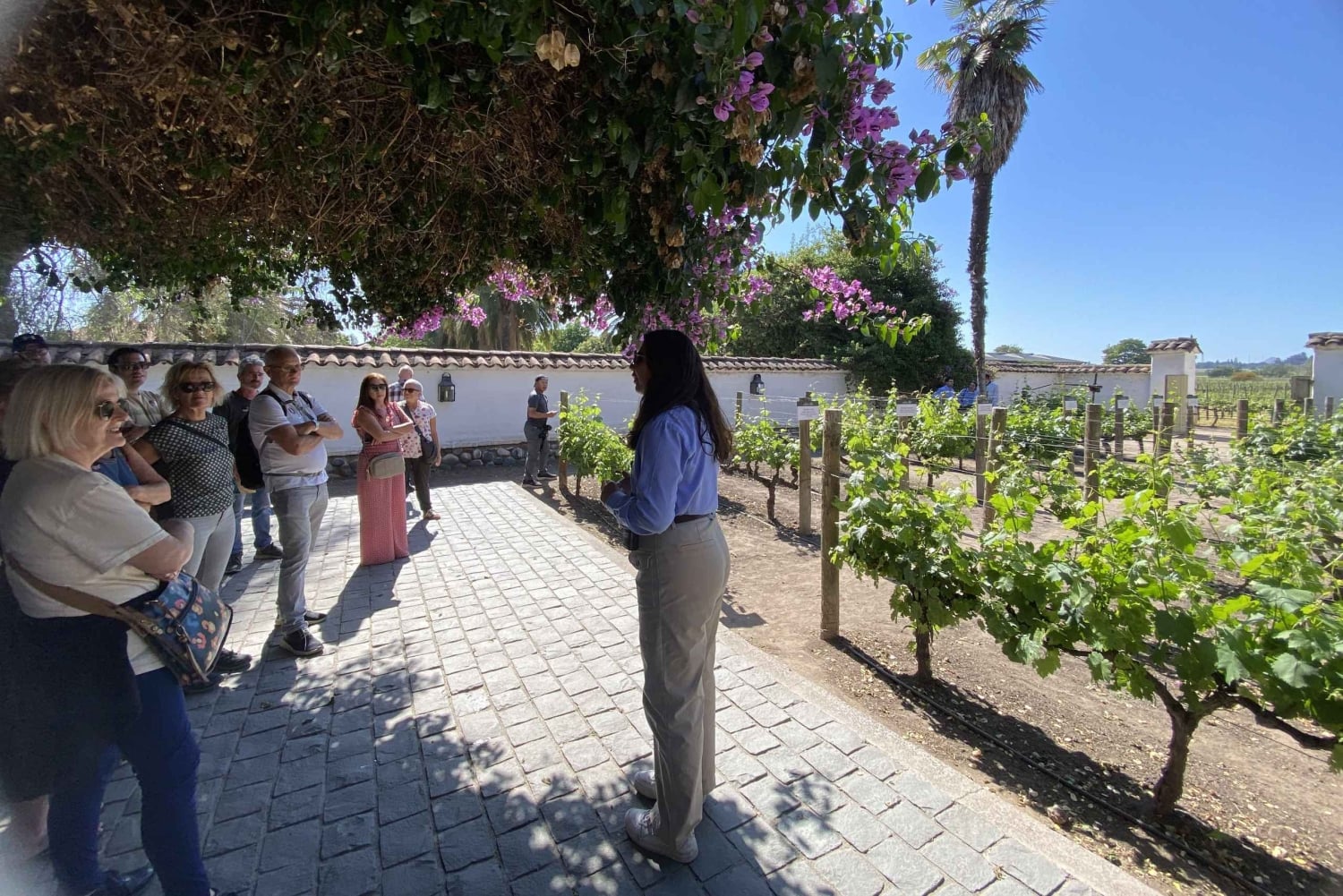 Das beste Weingut der Welt laut Forbes: Weingut Santa Rita