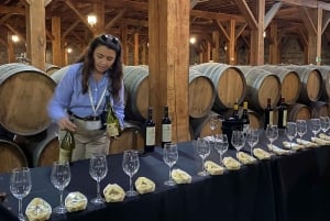 Das beste Weingut der Welt laut Forbes: Weingut Santa Rita