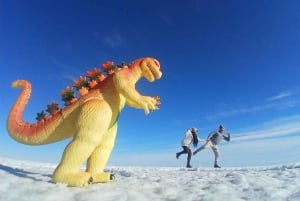 From Atacama Chile : 2-Day Uyuni Salt Flats Private Tour
