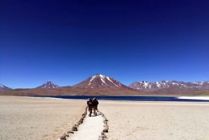 Fra Atacama | Privat service - Uyuni Salt Flat - 3 dage