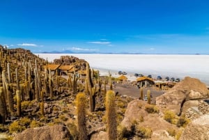 Atacamasta | Salar de Uyuni 4 päivää suurin suola järvi