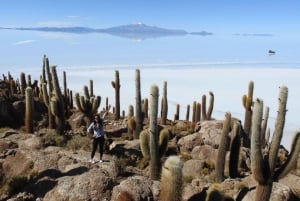 From Atacama | Uyuni salt flat 4 days the largest salt flat