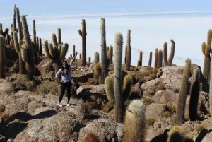 De Atacama | Salar de Uyuni 4 dias o maior salar