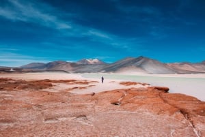 From Calama: 4-Day Atacama Desert Trip