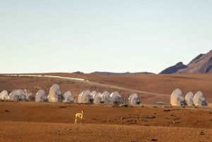 Vanuit Calama: 4 dagen naar de Atacama-woestijn