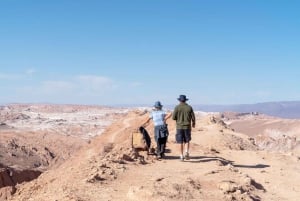 De Calama: Viagem de 1 dia ao Deserto de Atacama
