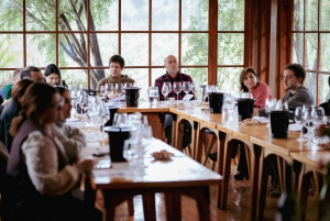 Do Chile: Tour de Vinhos da Casa Marin D.O Lo Abarca