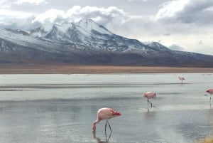 Fra La Paz: 2-dages Salar de Uyuni til Atacama Chile med fly