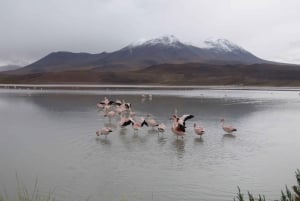 Z La Paz: 2-dniowy lot z Salar de Uyuni do Atacama Chile