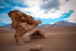 Fra La Paz: 4-dages tur til San Pedro de Atacama med Salt Flats