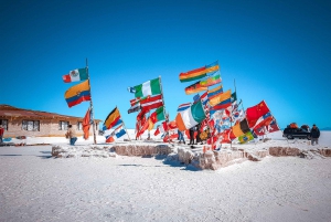 Da La Paz: Escursione di 4 giorni a San Pedro de Atacama e alle Saline