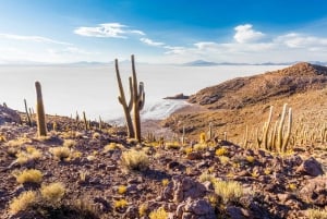 From La Paz: 4-Day Uyuni Salt Flats and Atacama Tour