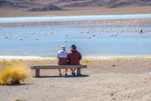 Fra La Paz: 5-dages Death Road & Uyuni Salt Flats cykeltur
