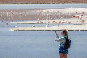 From La Paz: 5-Day Death Road & Uyuni Salt Flats Bike Tour
