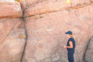 From La Paz: 5-Day Death Road & Uyuni Salt Flats Bike Tour