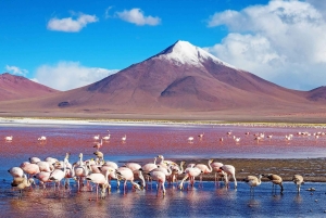Van La Paz naar Atacama: 4-daagse tour naar Salar de Uyuni