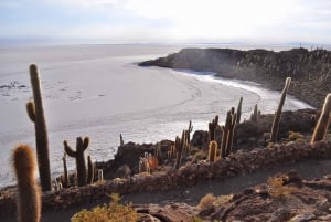 From La Paz to Atacama: Uyuni Salt Flats 4-Day Tour