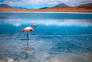 Från La Paz: Uyuni och Andinska lagunerna 5-dagars guidad tur