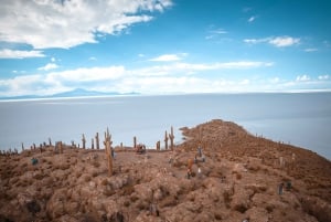 Da La Paz: Viaggio guidato di 5 giorni a Uyuni e alle lagune andine