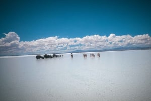 Da La Paz: Viaggio guidato di 5 giorni a Uyuni e alle lagune andine