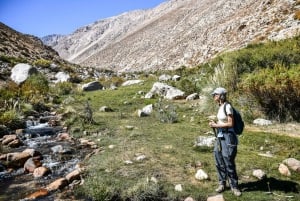 Fra Pisco til Elqui: Naturvandring i Cochiguaz-floddalen