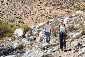 Från Pisco till Elqui: Naturvandring i Cochiguaz floddal