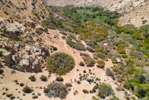 From Pisco Elqui: Cochiguaz River Valley Nature Hike