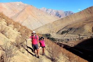From Pisco Elqui: Elqui Valley and La Greda Ravine Day Trek