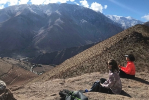 From Pisco Elqui: Elqui Valley and La Greda Ravine Day Trek
