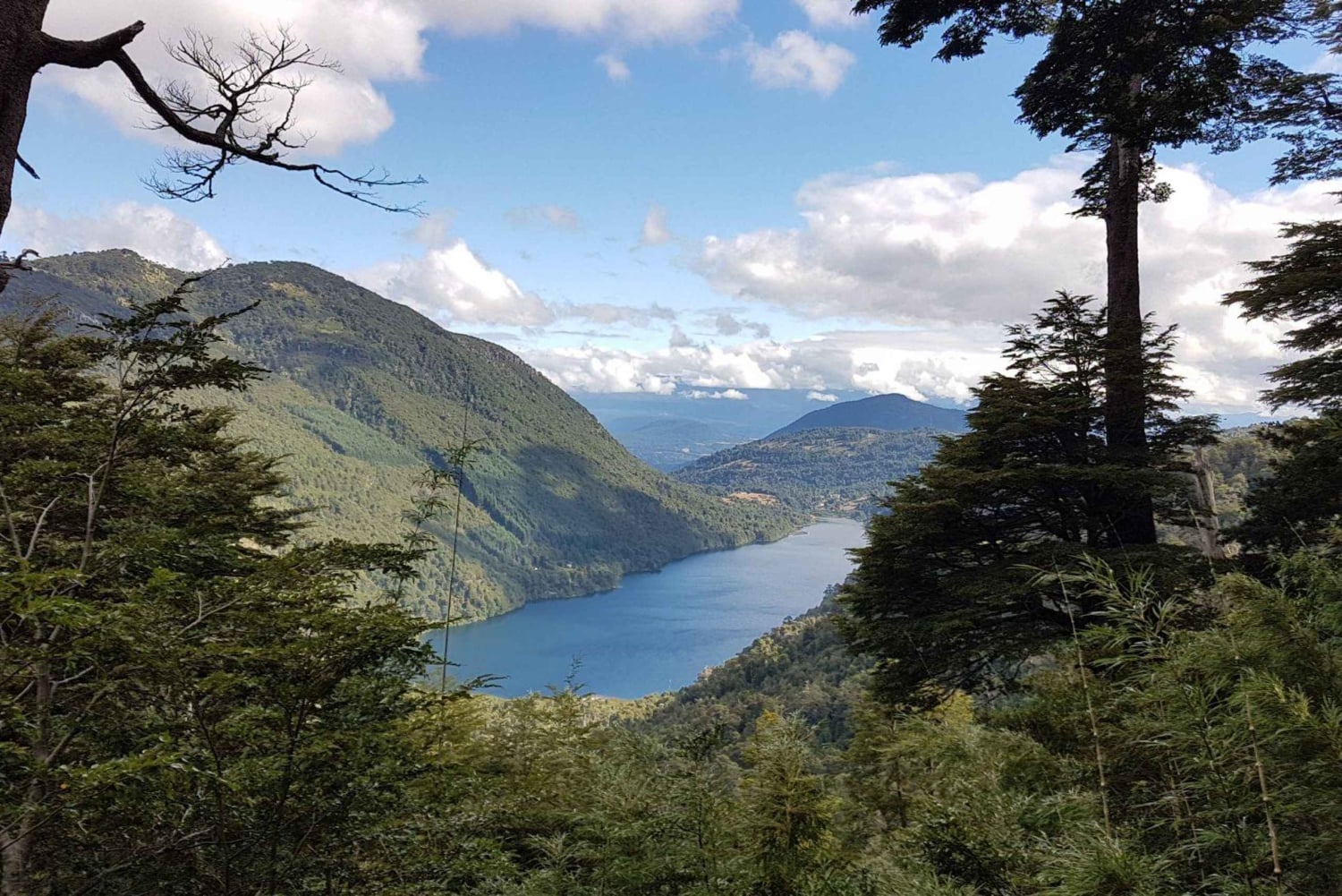 Из Пукона: пешеходная экскурсия по национальному парку Уэркеуэ