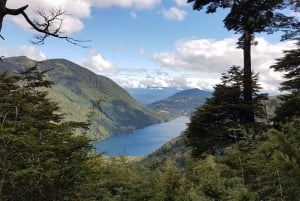 Da Pucón: Escursione al Parco Nazionale Huerquehue