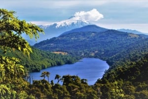 From Pucón: Huerquehue National Park Hiking Tour